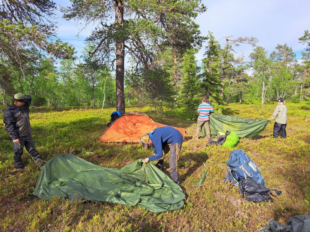 Nuoret pystyttävät telttoja maastossa.