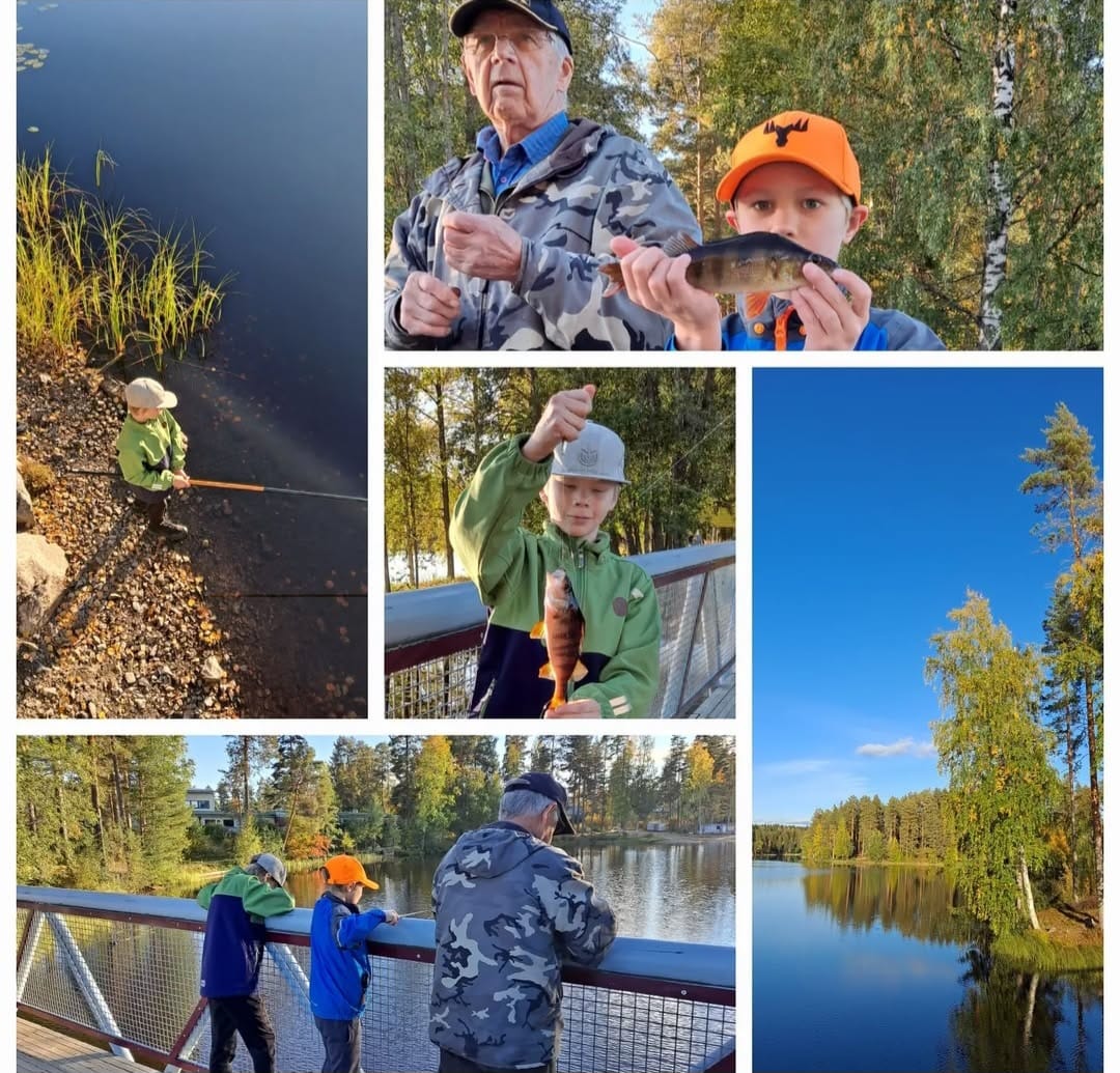 Kuvakollaasi, jossa on lapsia kalastamassa vanhemman henkilön kanssa.