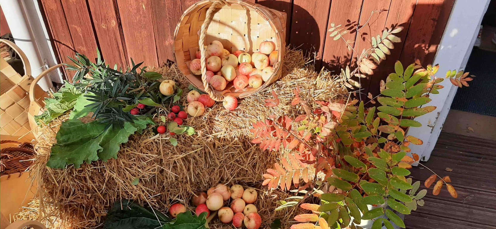 Omenakori, pihlajanlehdet ja heinäpaali aseteltuna markkinoiden koristeasetelmaksi.