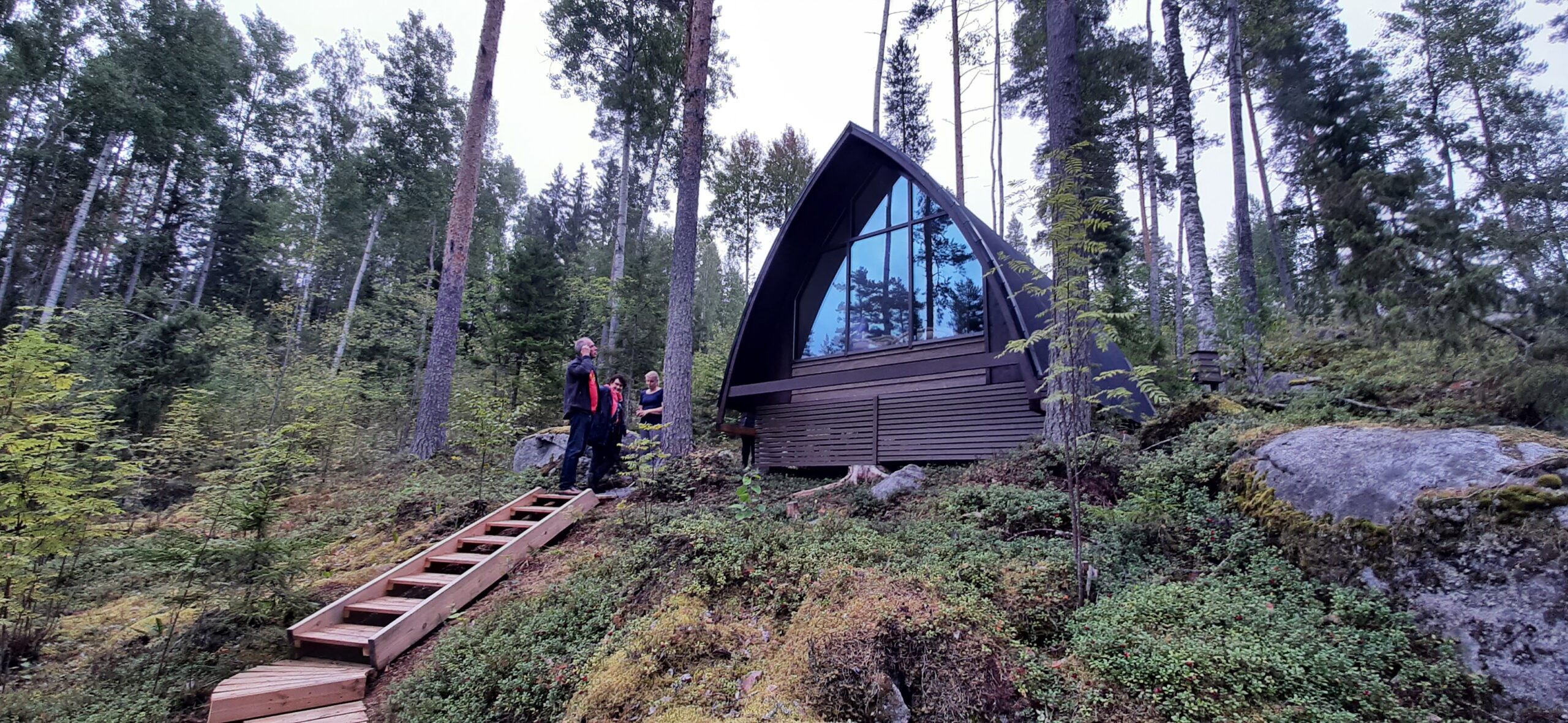 Mäntymetsä, jossa majoitusmökki