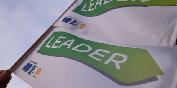 Leader lippu liehuu