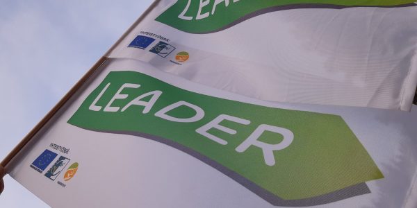 Kaksi Leader-lippua