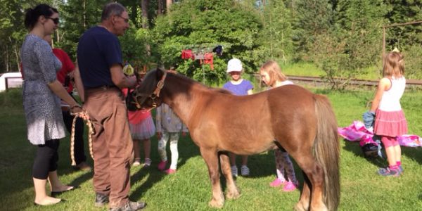 Ihmisiä ja poni