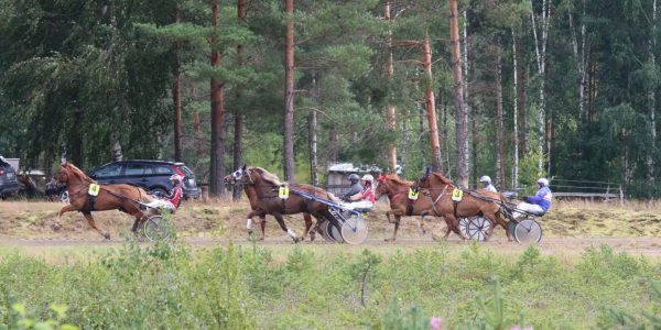 joutsan ravirata kisakuva tarja kuikka