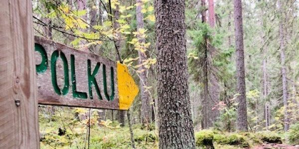 metsapolku-kuva-vripi-heikkinen