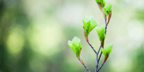 valintajaksotalkukesä