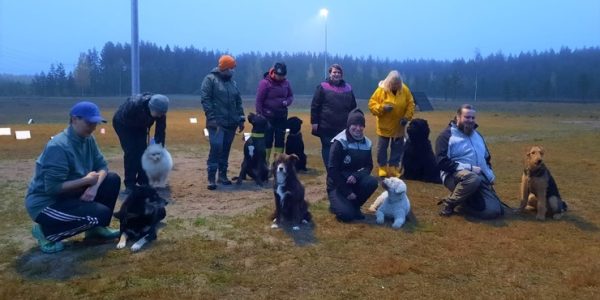 Toiminnan sosiaalinen puoli merkitsee paljon sekä koiranomistajille että koirille.
